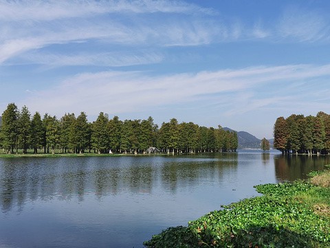 8a73b8ae183ab0d77e79ed5d84bd7d74.jpg_480x360x95_f2ff75f2.jpg