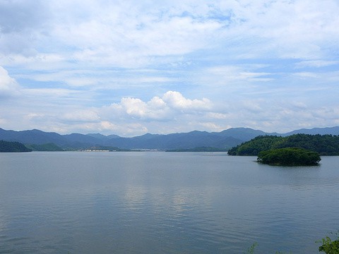 a92eabfd5c192bb5.jpg_480x360x95_2fa519f9.jpg