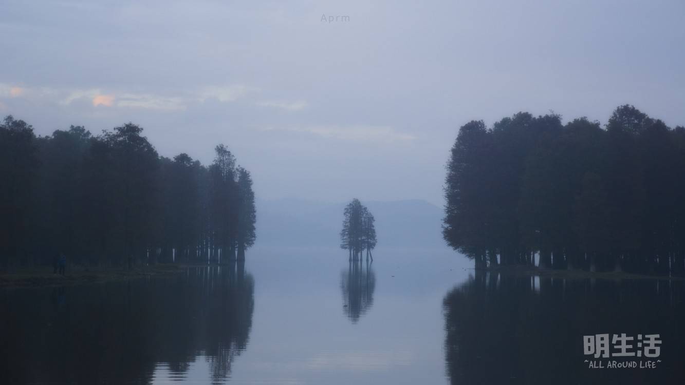 20|imageslim.jpg