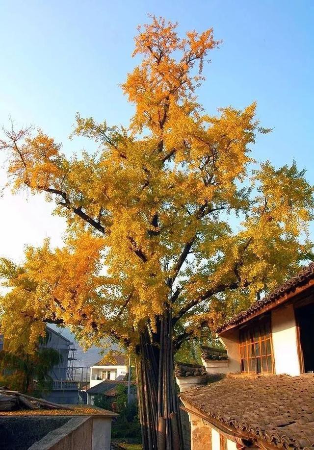 ?url=http%3A%2F%2Fdingyue.ws.126.net%2F2020%2F0604%2F994eeb54j00qbdmzy0046c000hs00pic.jpg