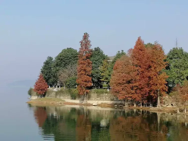 6b5b3f18d5554e04a4f8da05cd4087d4__jpg.heic~tplv-s1ctq42ewb-s2-cC-q:750:0:0:0:q80.jpg